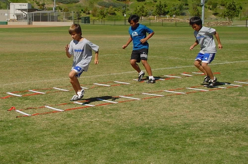 s-l500-88 Football Speed Agility Training Sports Equipment Ladder 15 Feet Soccer - Image 1